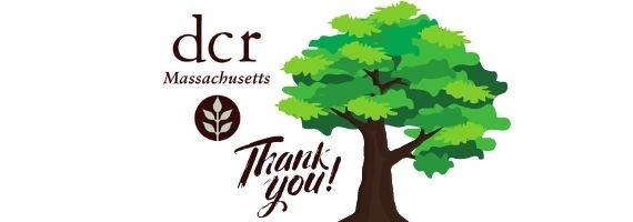 An image of DCR's logo, a tree, and letters spelling out "Thank you".